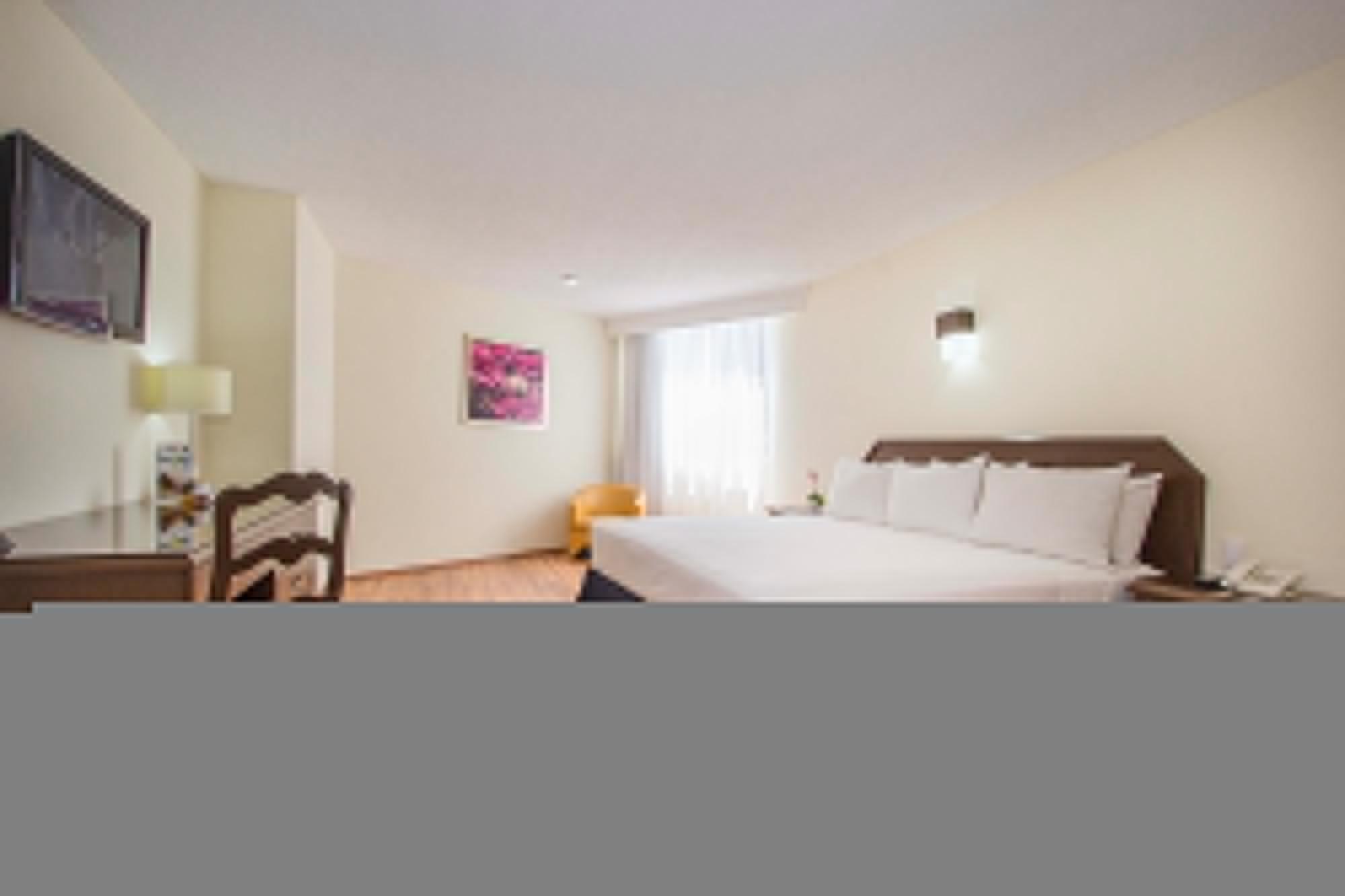 Hotel Valle De Mexico Toreo Экстерьер фото
